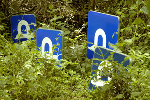 copyright 2005 Pierre Marcel