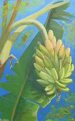 mariage (Bananes et... epis de Mas normand)