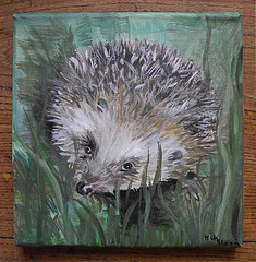 "Hrisson curieux" Marie-Christine Blouin