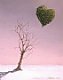 See another essay on this concept (trees awaiting for love)