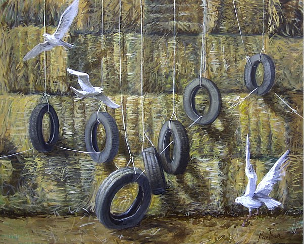 rampart de paille et mouettes