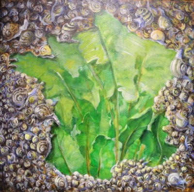 Oseille - escargots � Front Hexagonal� juin 2012 